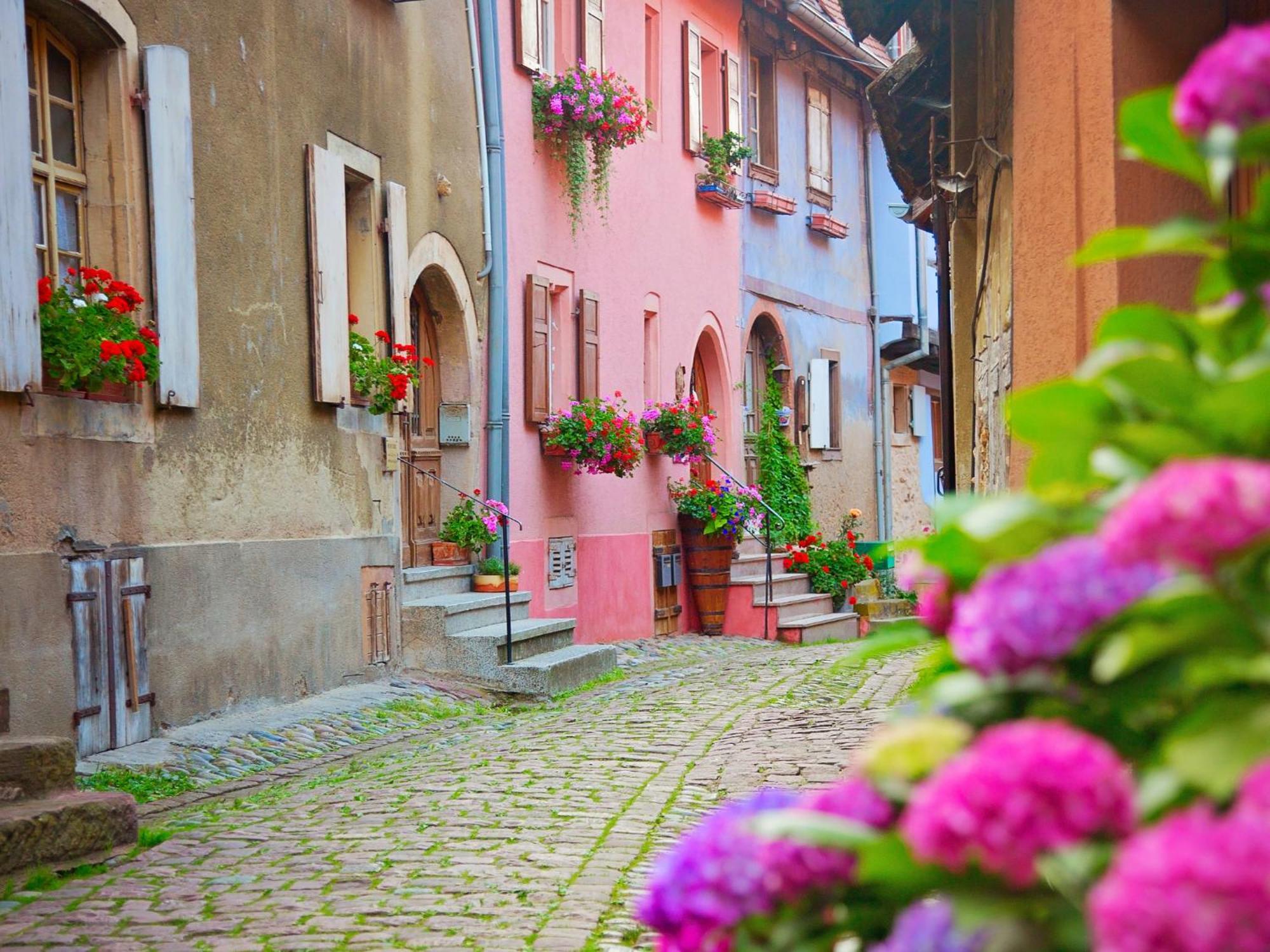 L'Atypique D'Eguisheim 아파트 외부 사진